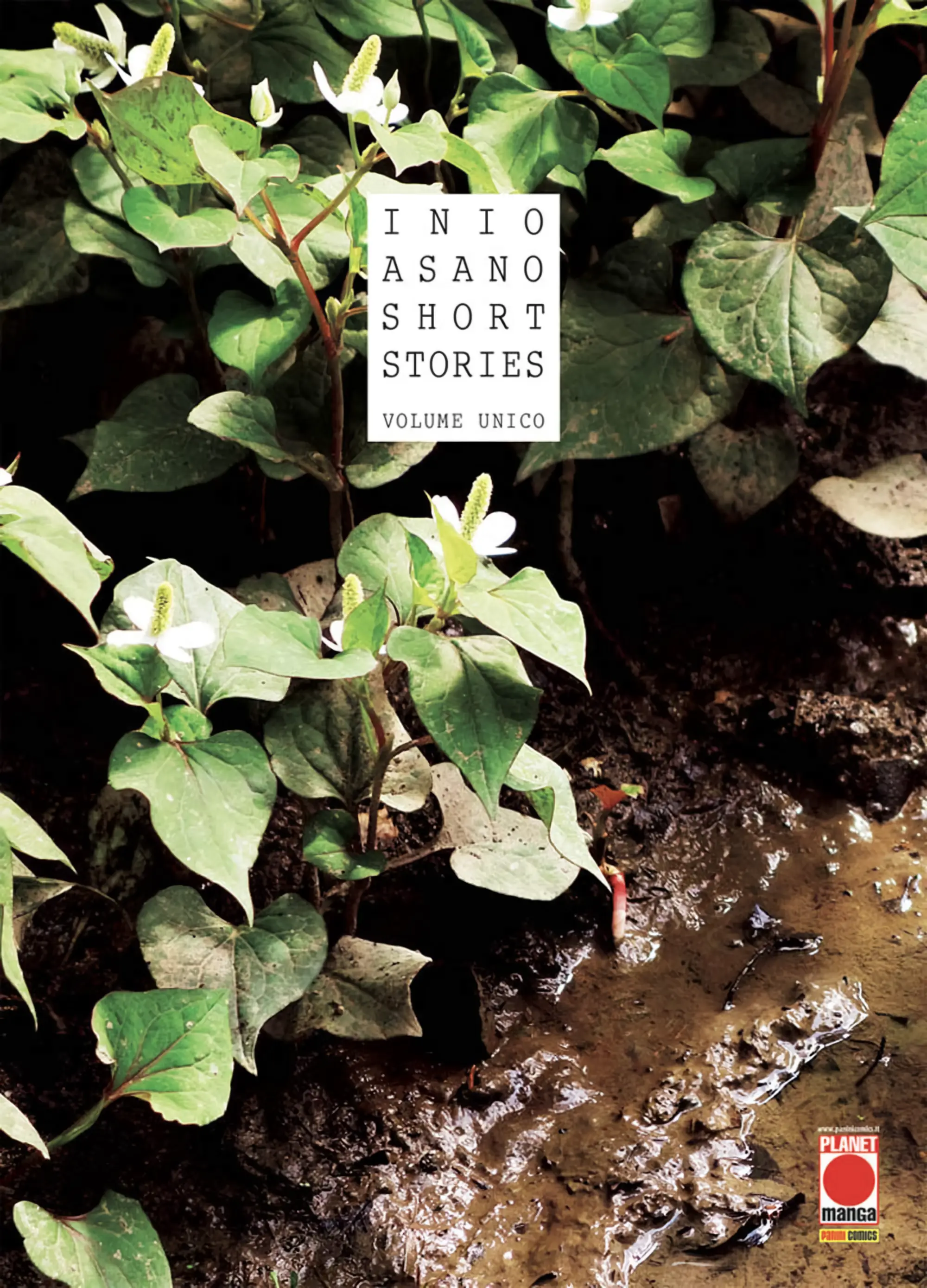 SHORT STORIES
